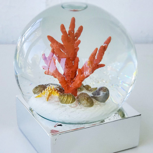 Coral Sea Snow Globe